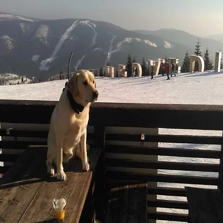 Pension Karolina 3* Spindleruv Mlyn