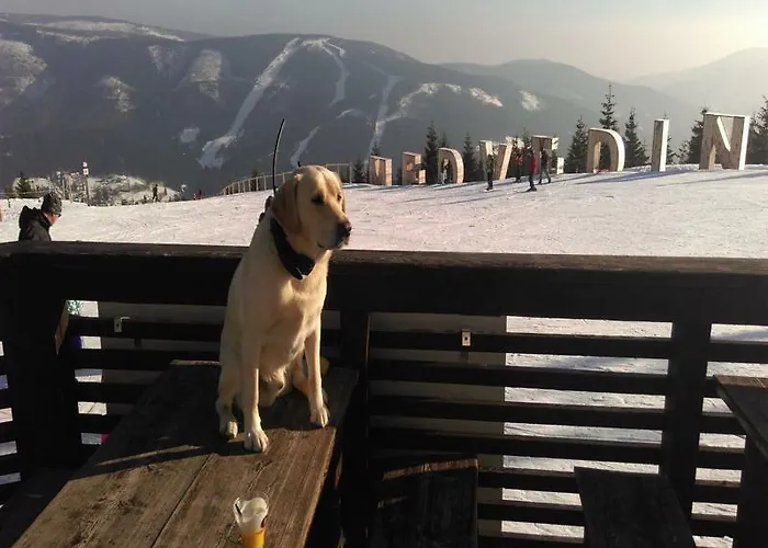 Karolina 3* Špindlerŭv Mlýn